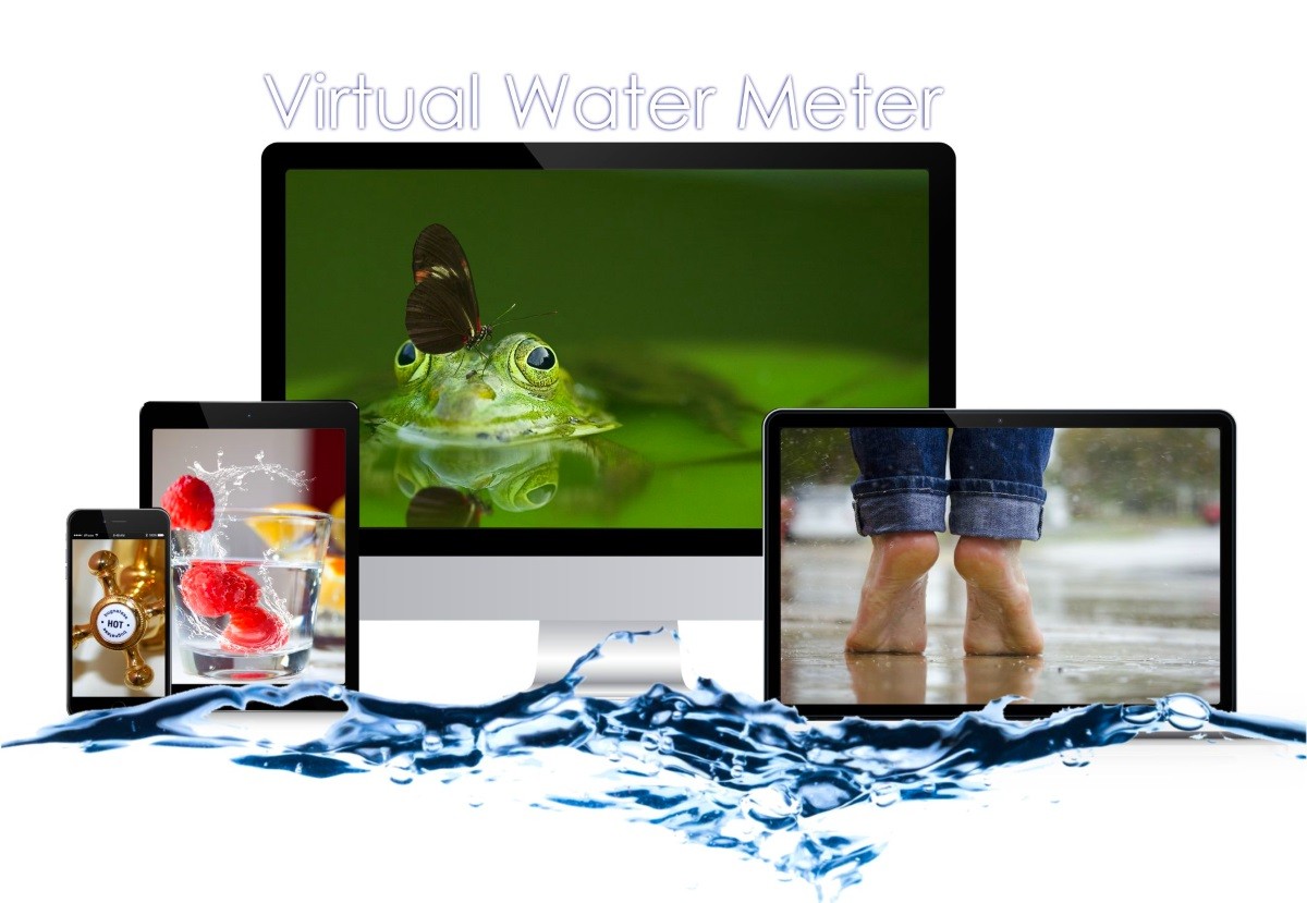 virtual water meter w