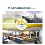 st Bernards w